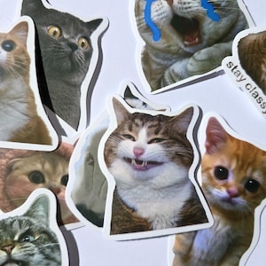 50 adesivi Lustige Katzen - Adesivi per gatti dolci e vaporosi - Opaco o lucido - Meme Cats - Perfetti per laptop, pratici, Bullet Journal