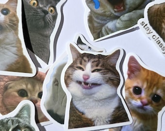 Meme Katzen 50 Lustige Sticker - Süße & Witzige Katze Aufkleber - Matt oder Glänzend -Perfekt für Laptop, Handy , Bullet Journal