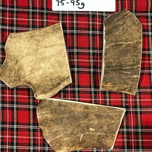 Fallow Antler pet Chews