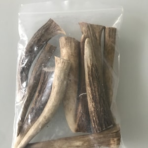 Könnte beinhalten: Ein klarer Plastikbeutel gefüllt mit mehreren Hirschgeweihstücken. Die Geweihe sind in verschiedenen Größen und Formen gehalten, mit hellbraunen und beigen Farbtönen. Die Geweihe haben eine raue, strukturierte Oberfläche und sind wahrscheinlich für Bastelarbeiten oder Tierkauartikel gedacht.