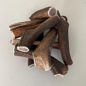 Large single Whole Antler pet chews