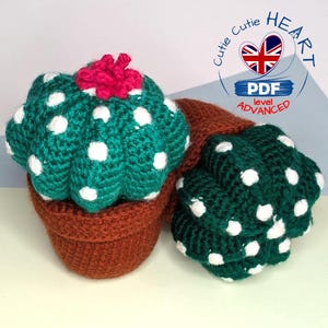 May include: Two crocheted cactus plants in brown pots. The cactus plants are green with white polka dots and one has a pink flower on top. The plants are on a light green surface. The image includes the text "Cutie Cutie HEART PDF level ADVANCED".