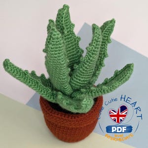 Pode incluir: Padrão de crochê para uma planta de aloe vera verde em um vaso marrom. O padrão é rotulado como "Cutie Heart" e é um padrão de crochê de nível intermediário.