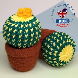 Op de afbeelding: Twee gehaakte cactusplanten in bruine potten. De cactusplanten zijn groen en geel met een gele bloem op een van de planten. De tekst "Cutie Cutie HEART PDF level ADVANCED" staat op een witte cirkel met een rood hart en een Union Jack-vlag.