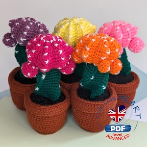 Könnte beinhalten: Ein Set aus sechs gehäkelten Kakteen in verschiedenen Farben, darunter rosa, orange, gelb, lila und grün. Jeder Kaktus befindet sich in einem braunen Topf. Die Töpfe sind kreisförmig angeordnet. Das Bild enthält den Text "PDF level ADVANCED".