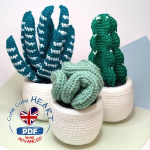 Puede incluir: Tres plantas suculentas de crochet en macetas blancas. Las suculentas son verdes y azules con rayas blancas. Las macetas son blancas y tienen una textura de crochet. Las plantas están dispuestas sobre una superficie verde claro.