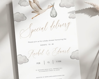 Stork Baby Shower Invitation, Special delivery baby shower invite, Stork with baby in blanket, Gender Neutral, Printable Template, BBS15