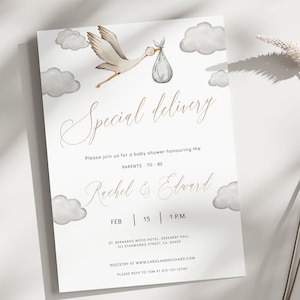 Stork Baby Shower Invitation, Special delivery baby shower invite, Stork with baby in blanket, Gender Neutral, Printable Template, BBS15