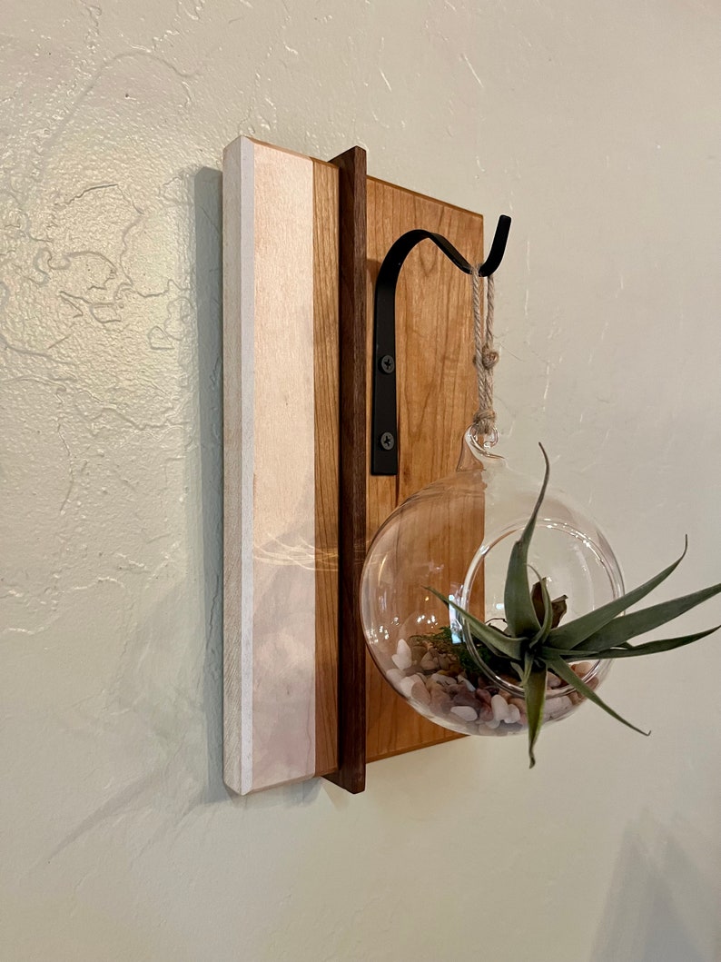 Hanging Terrarium, Air Plant Terrarium, Air Plant Display, Air Plant ...
