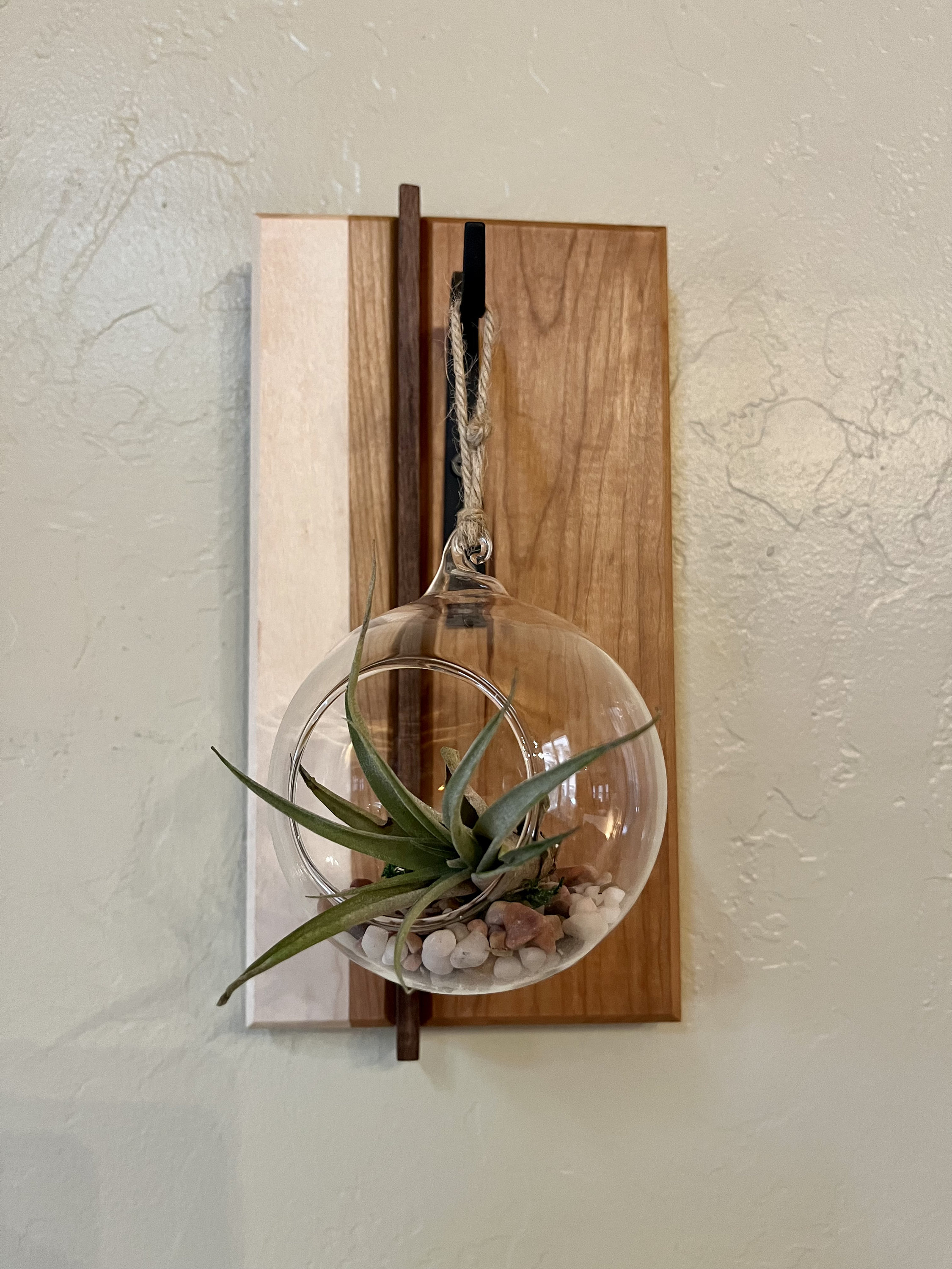 Hanging Terrarium, Air Plant Terrarium, Air Plant Display, Air Plant ...