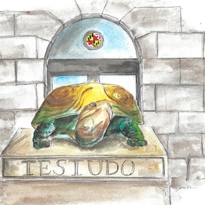 UMD- Terps - Original Painting - Graduation - Alumni
