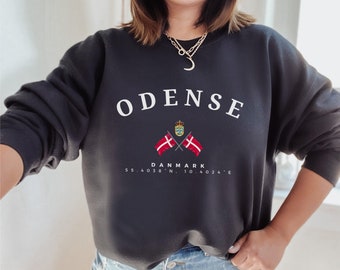 Odense Sweatshirt, Unisex Sweater, Scandinavian, Denmark, gift, Nordic Style, Odense Denmark, Soft and Comfortable Crewneck Pullover