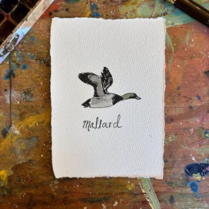 May include: A rectangular piece of white paper with deckled edges featuring a black and grey ink illustration of a mallard duck in flight. The word mallard is written in black cursive script underneath the duck illustration on the paper.