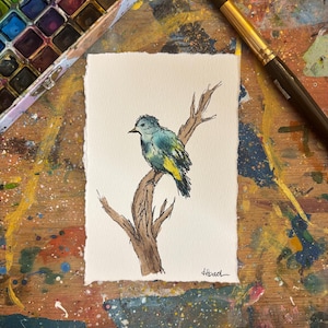 Op de afbeelding: Een aquarel op getextureerd papier met een kleine blauwe en gele vogel op een bruine boomtak. Het kunstwerk bevat zwarte inktcontouren en een handtekening in de rechterbenedenhoek, gepresenteerd met een verfset en een penseel.