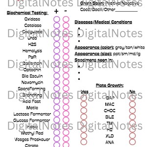 Può includere: Un grafico medico bianco con il testo "Organism Name" e "Biochemical Testing". Il grafico include sezioni per "Diseases/Medical Conditions" e "Plate Growth". Il grafico ha cerchi rosa e viola.
