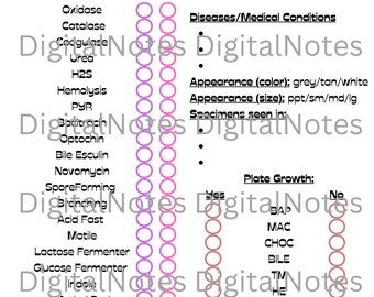 Medical Laboratory Science Microbiology Bacteria Outline