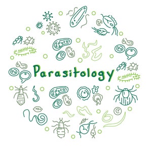 Medical Laboratory Science Parasitology Digital Notes