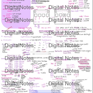 May include: A handwritten chart with a pink and purple background, outlining hematology terms and concepts. The chart includes information on red blood cells, white blood cells, and platelets, as well as various blood disorders and their characteristics.
