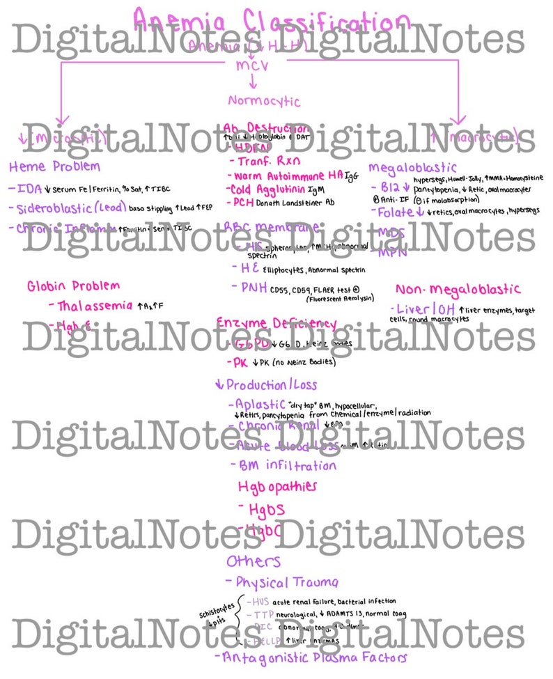 Medical Laboratory Science Hematology Digital Notes - Etsy