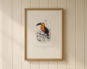 Praise The Lord Christian Vintage Wall Art | Toucan Nursery Decor, Psalm 150:6 Bible Verse Oil Painting, Jungle Safari Nursery Print