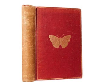 1897 British Butterflies and Moths Natural History Cloth Book