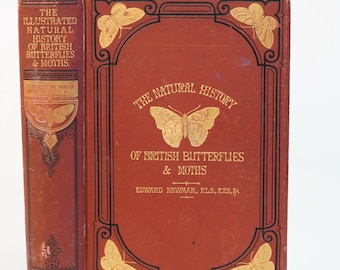 1875 Edward Newman British Butterflies and Moths