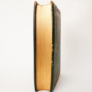 1869 Poetas del siglo XIX Libro ilustrado en piel imagen 4