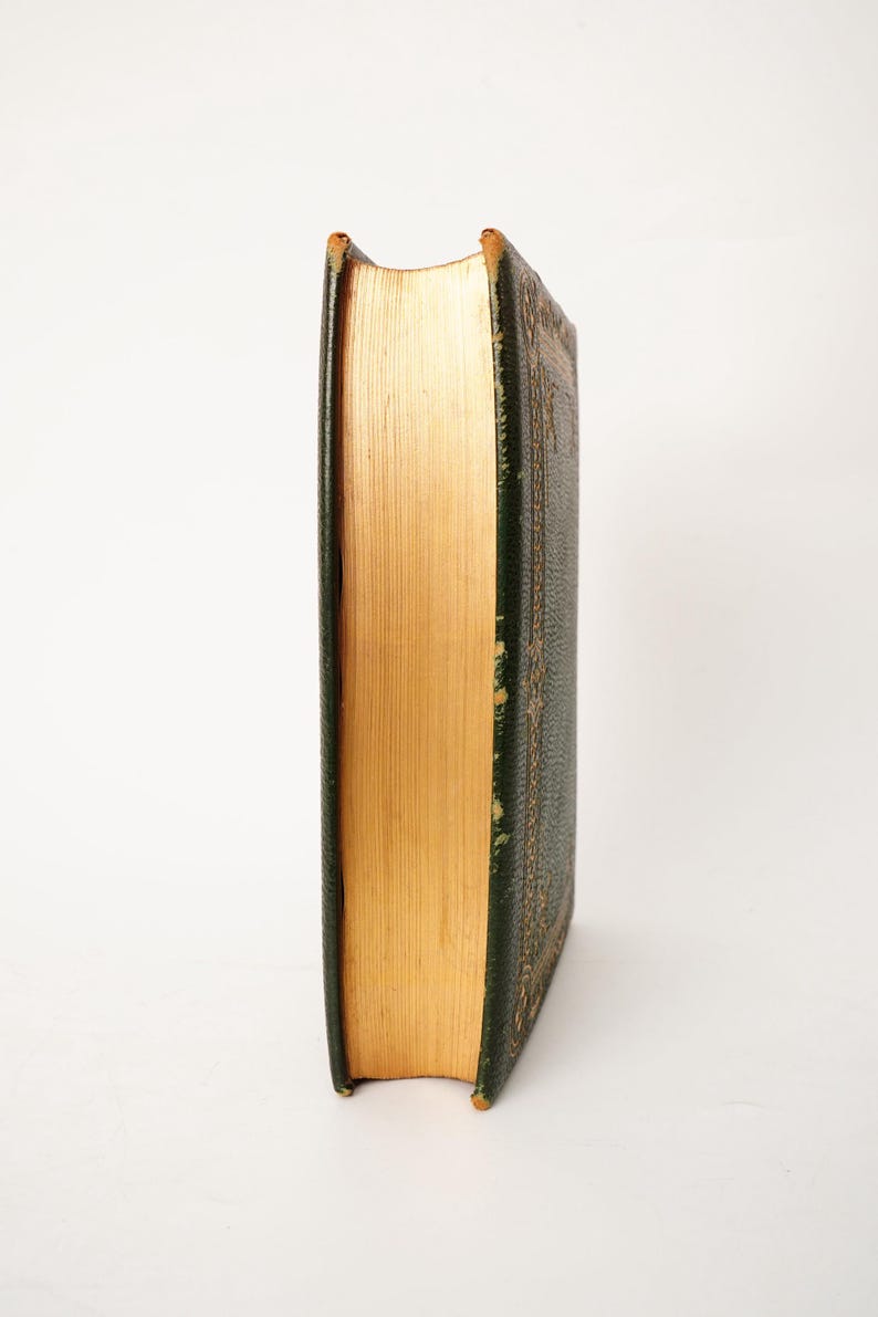 1869 Poetas del siglo XIX Libro ilustrado en piel imagen 4