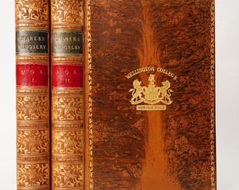 1882 Charles Kingsley Letters Memoirs Prize Binding 2 Vols