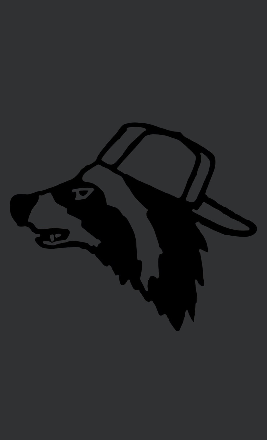 Truck Decal Raccoon With Backwards Hat Etsy