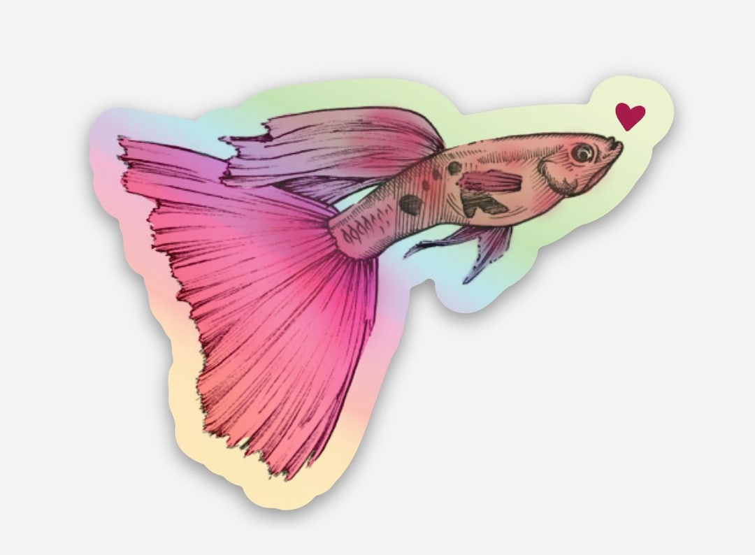 Guppy Fish Heart Love Sticker Australia