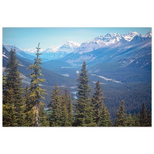 May include: A panoramic landscape view featuring a dense forest of tall green coniferous trees in the foreground, leading into a vast valley with a winding river and distant snow-capped mountain peaks under a clear light blue sky.