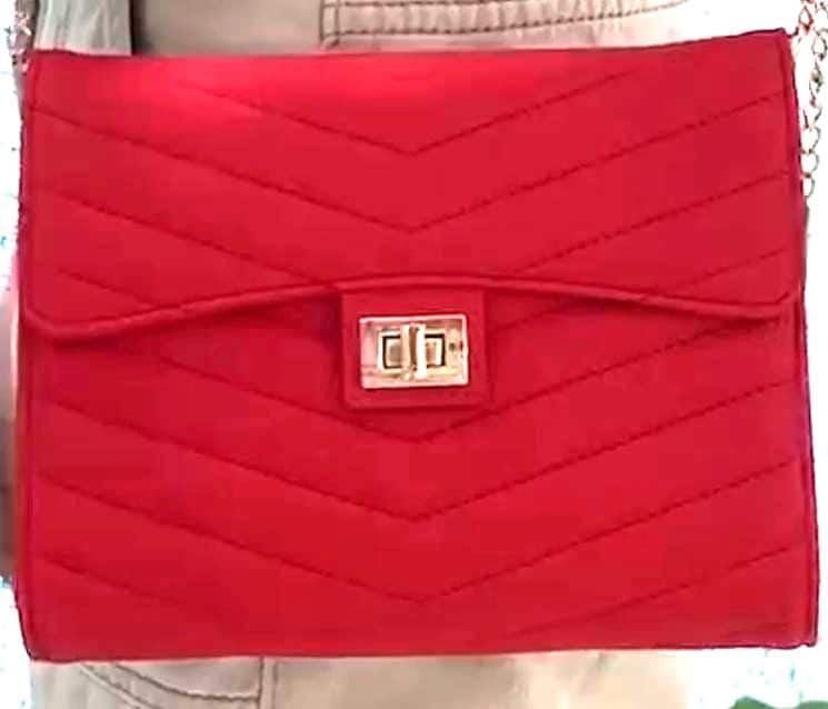 NEW luxe A6 crossbody budget binder