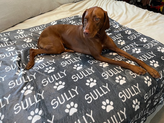 Personalized Paw Print Name Blanket for Pet Custom Dog Blanket Plush Blanket Personalized Puppy Blanket Dog Bed Blanket Pet Lover Gift Etsy