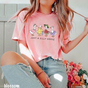 May include: A pink t-shirt with a graphic of five geese wearing different outfits. The text "Just a silly goose" is printed below the geese.