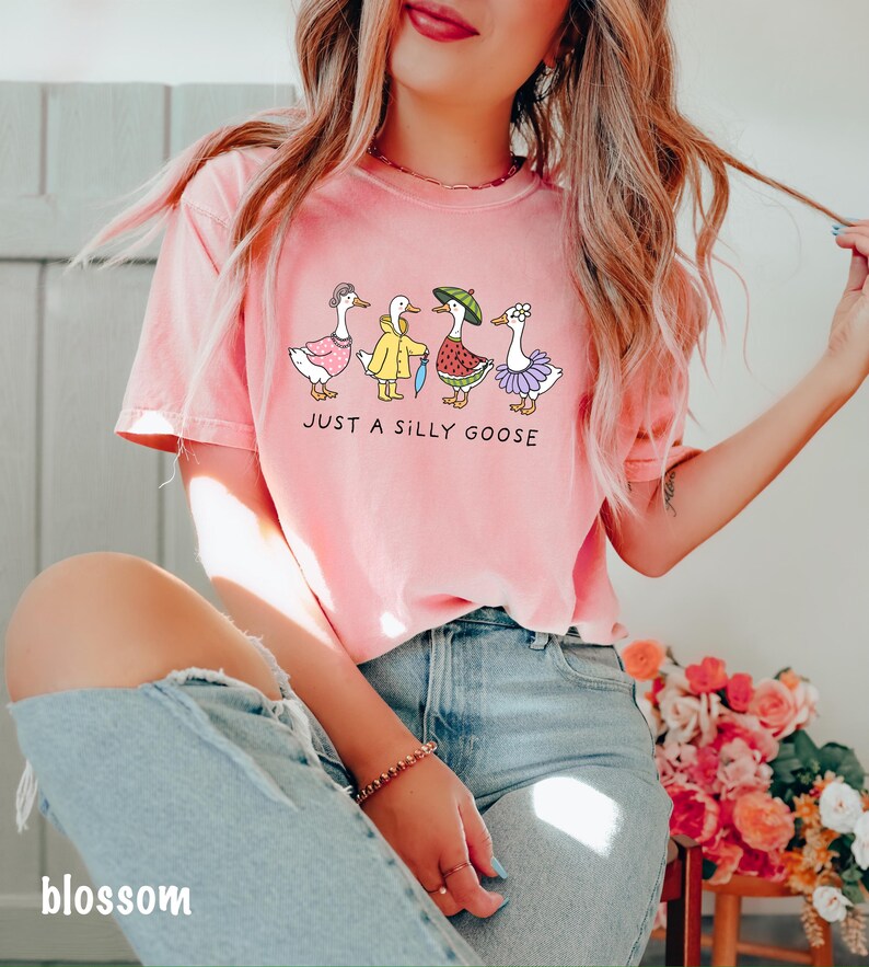 May include: A pink t-shirt with a graphic of five geese wearing different outfits. The text "Just a silly goose" is printed below the geese.