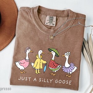 May include: A brown t-shirt with a graphic of four geese wearing different outfits. The geese are wearing a pink polka dot dress, a yellow raincoat, a watermelon dress, and a purple tutu. The text "Just a Silly Goose" is printed below the geese.