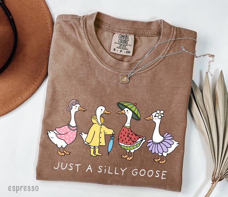 May include: A brown t-shirt with a graphic of four geese wearing different outfits. The geese are wearing a pink polka dot dress, a yellow raincoat, a watermelon dress, and a purple tutu. The text "Just a Silly Goose" is printed below the geese.