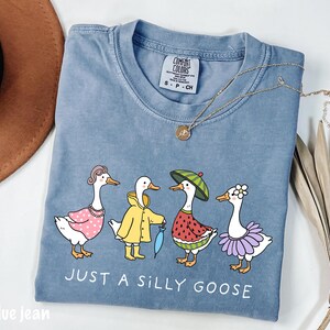 May include: A light blue t-shirt with a graphic of four geese dressed in different outfits. The geese are wearing a pink dress, a yellow raincoat, a watermelon costume, and a purple tutu. The text "Just a Silly Goose" is printed below the geese.