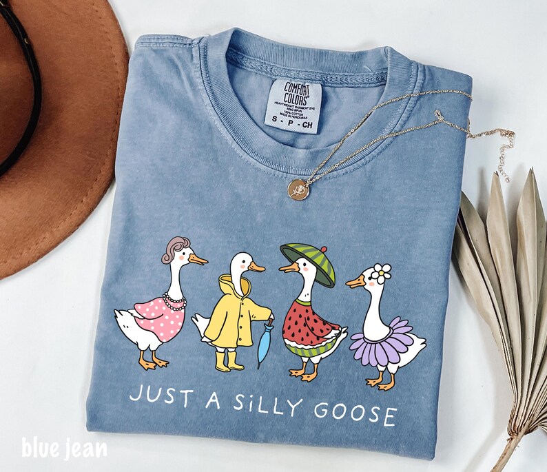 May include: A light blue t-shirt with a graphic of four geese dressed in different outfits. The geese are wearing a pink dress, a yellow raincoat, a watermelon costume, and a purple tutu. The text "Just a Silly Goose" is printed below the geese.