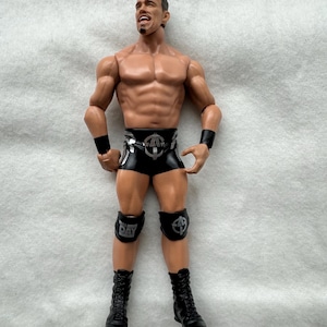 Wwe action figures cody - Etsy 日本
