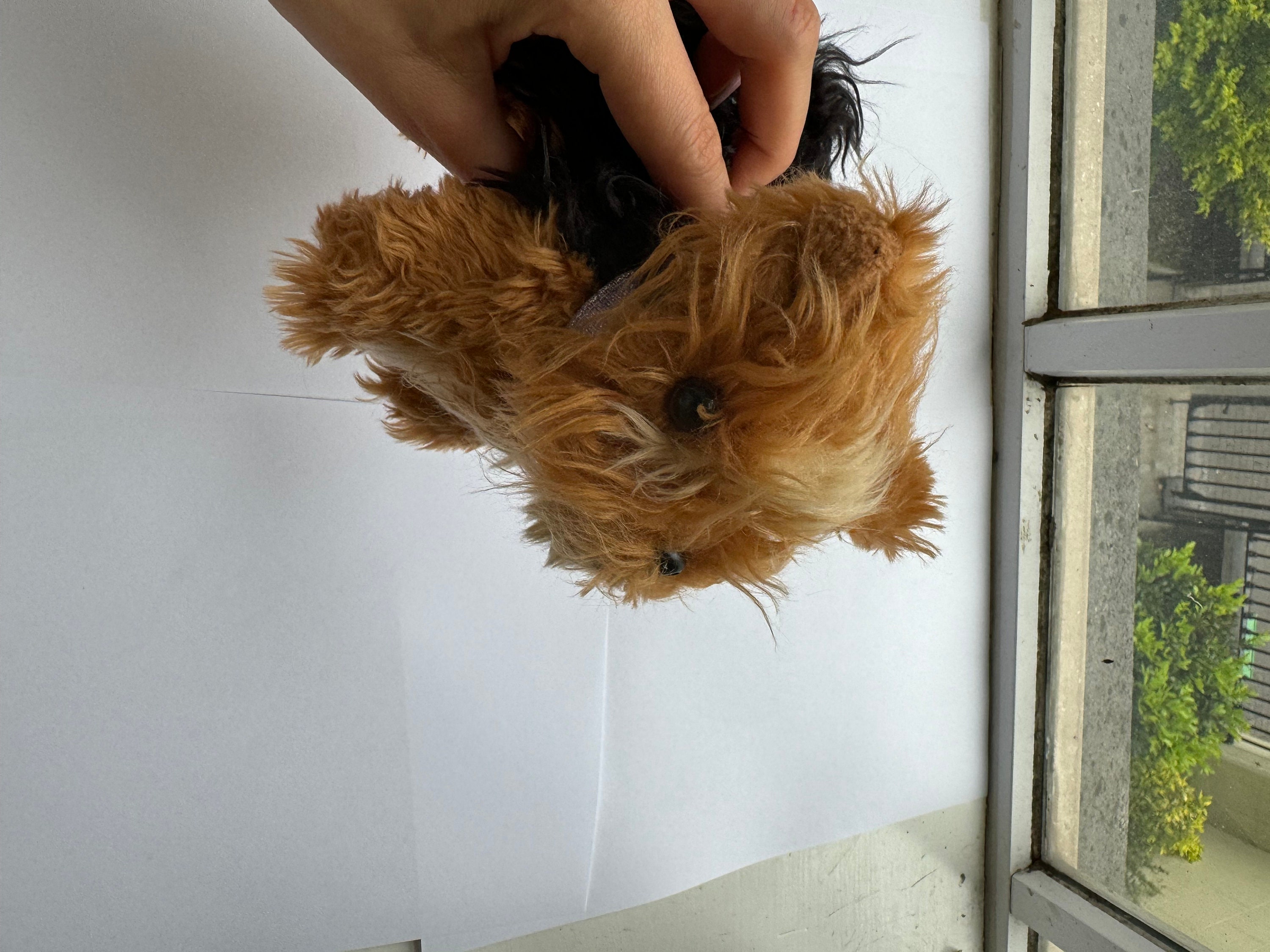 Our generation yorkshire terrier hotsell