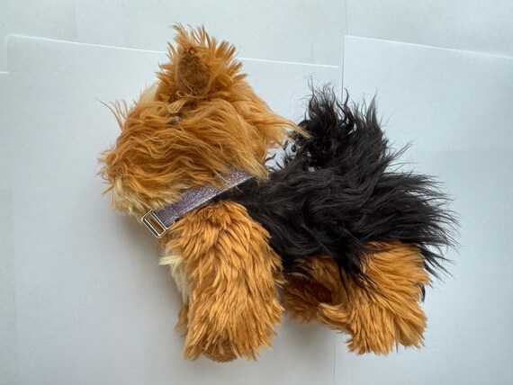 Our generation yorkshire terrier pup on sale