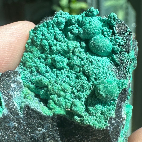 Botrioydal Chrysocolla on Matrix - Planet Mine, Arizona