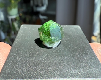 Turmalina cromada (Dravita) #3 - Montañas Lelatema, Región de Manyara, Tanzania