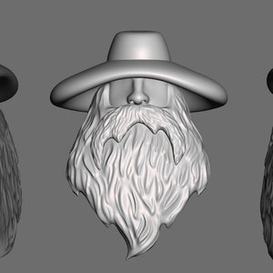 May include: A 3D printed model of a person's head with a long beard and a wide-brimmed hat. The model is shown from three different angles.