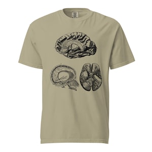 Brain anatomy Unisex comfort color t-shirt| Anatomy shirt| Biology shirt| Brain shirt| Neurology shirt| Neurologist