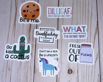 Sarcastic Explicit Stickers / Laptop Stickers / Water Bottle Stickers