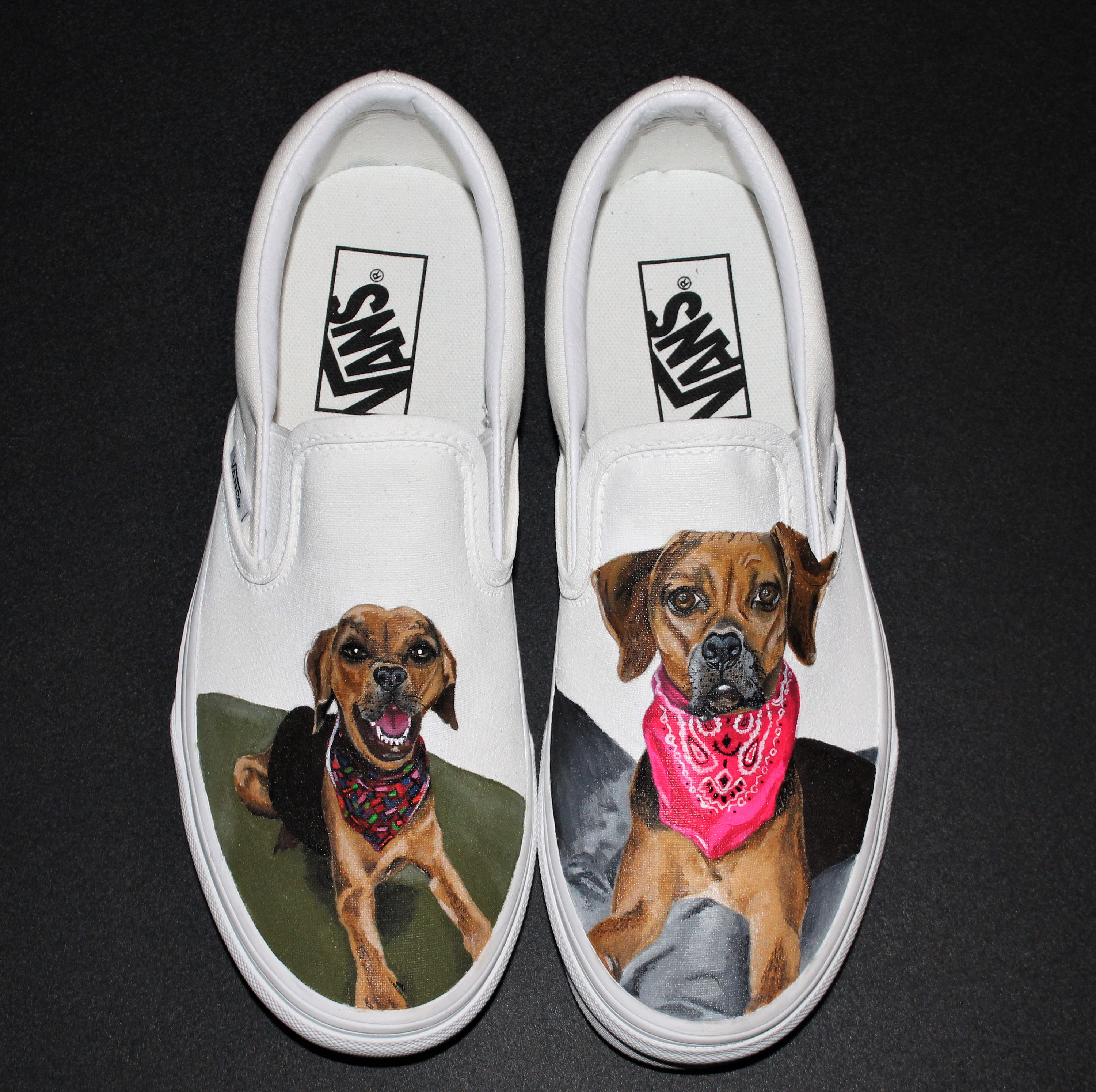 Custom dog sales vans shoes