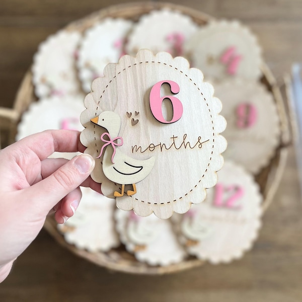 Baby Monthly Milestones Photo Prop - Goose Monthly Milestone Marker